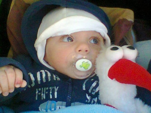 baby
