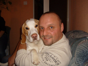 dog, pet