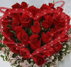 petal, plant, flower
