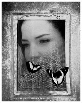 Najładniejsze zdjęcie użytkownika judytka3000 - 