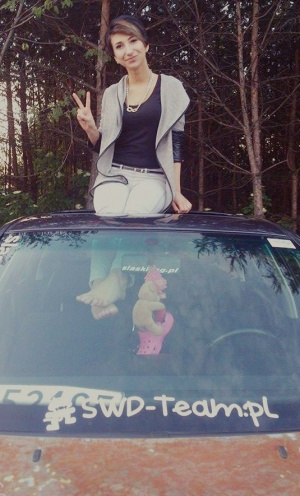 vehicle, poster, windshield