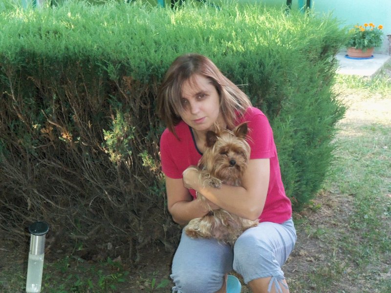 fun, dog, cat, pet
