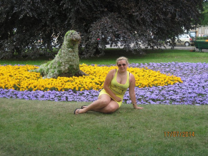 leisure, petal, plant, flower, garden