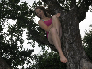 muscle, branch
