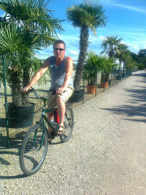 leisure, sports, bicycle, wheel, cycling
