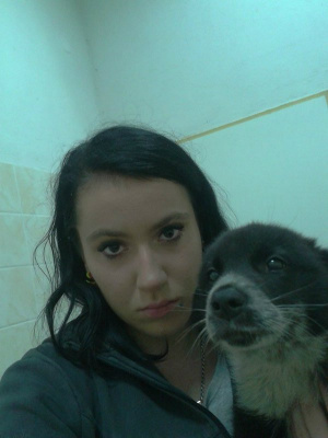 selfie, cat