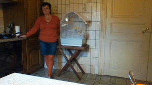 standing, room