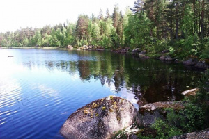 forest, rock, mountain, lake, river