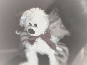 toy