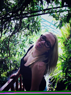 branch