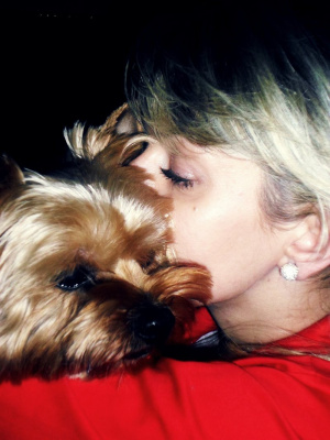 ear, dog, pet
