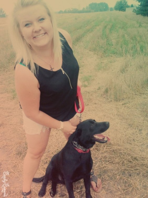 dog, pet