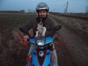 helmet