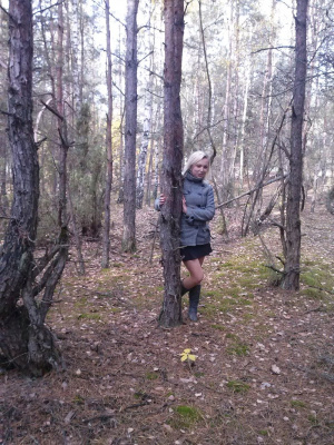 forest