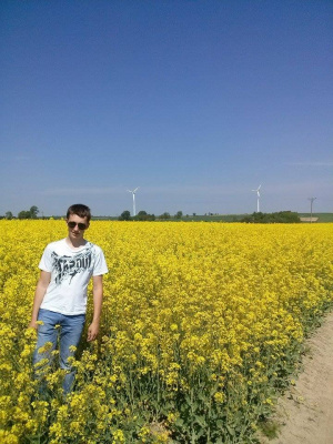 field, jeans, sky, food, flower, vegetable