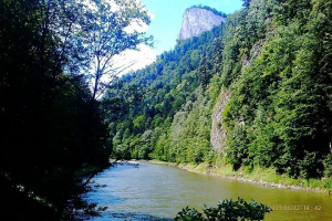 sky, forest, mountain, lake, plant, river, jungle