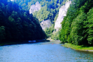 forest, mountain, lake