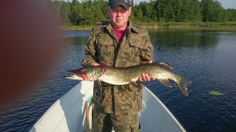 food, fishing