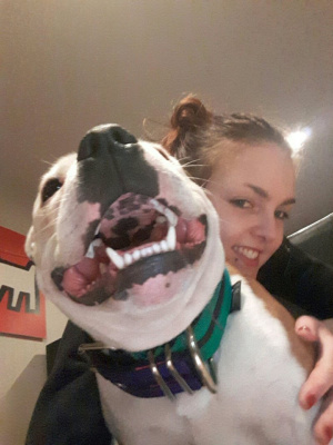 dog