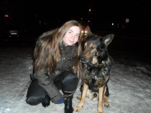 dog, pet