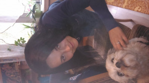 dog, cat