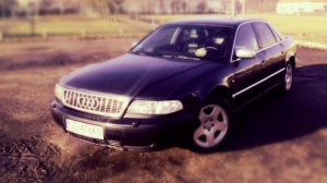 vehicle, car, wheel