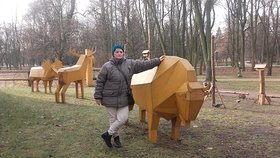 Najładniejsze zdjęcie użytkownika GrazynaWysoka -
