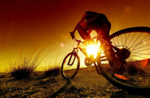 vehicle, bicycle, wheel