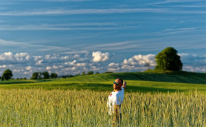 field, sky, prairie