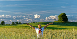 field, sky, prairie