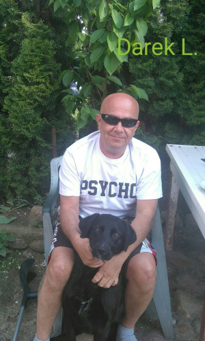 cool, leisure, muscle, dog