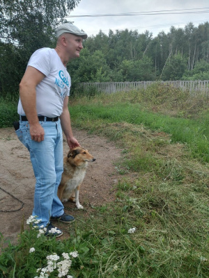 jeans, dog, soil