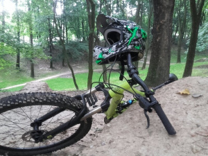 vehicle, bicycle, wheel, tire