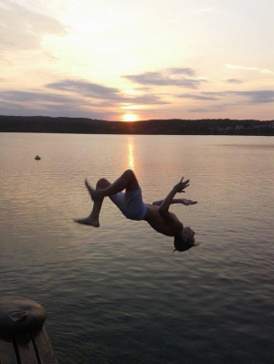 sky, bird, lake, sunset