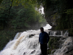 vacation, forest, jungle