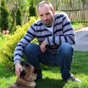 sitting, dog, pet