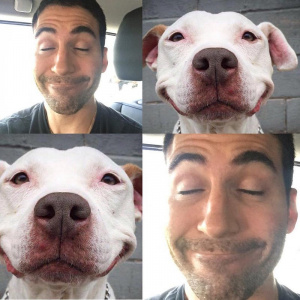 selfie, dog, pet