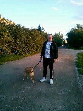 Najładniejsze zdjęcie użytkownika Wojtask23 - 