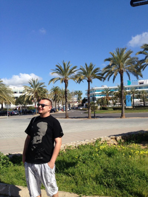 fun, sky, leisure, vacation, event, beach, plant