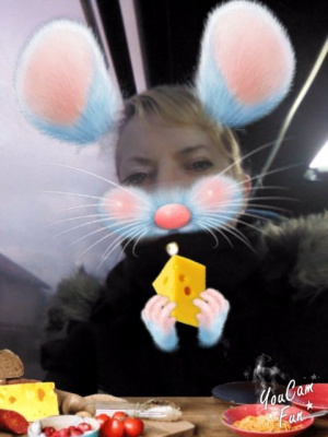 ear, toy