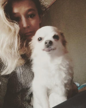 dog, pet