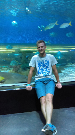 fun, leisure, underwater, shorts