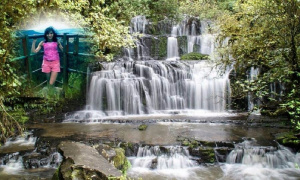 forest, waterfall