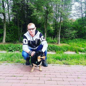 sitting, leisure, dog