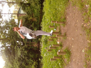 bird