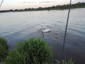 lake
