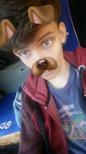 mouth, selfie, cool, beard, dog, moustache