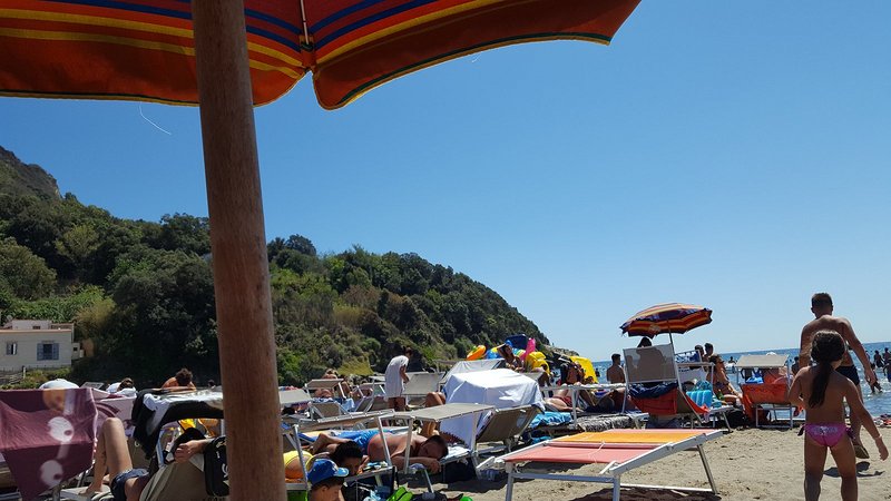 fun, leisure, vacation, beach, umbrella