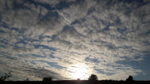sky, sunset