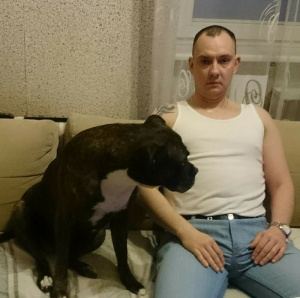 jeans, dog, cat, pet